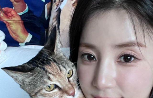에이핑크 초롱