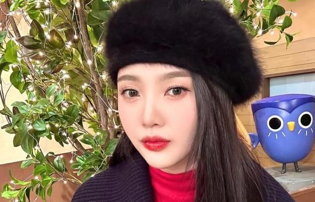 레드벨벳 조이