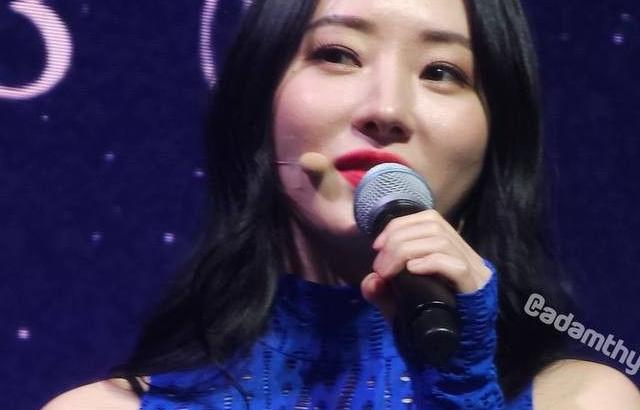 DREAMCTCHER SUA