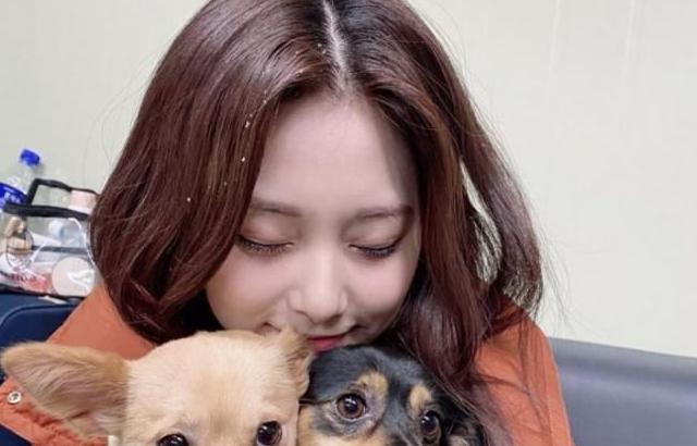 트와이스 쯔위
