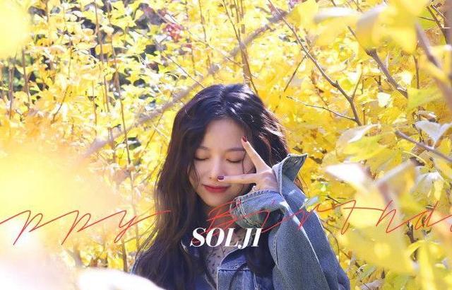 솔지 생일 (솔지사진추가) & EXID  PROJECT #1 컨셉티저