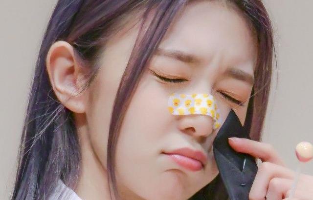 DREAMCATCHER DAMI