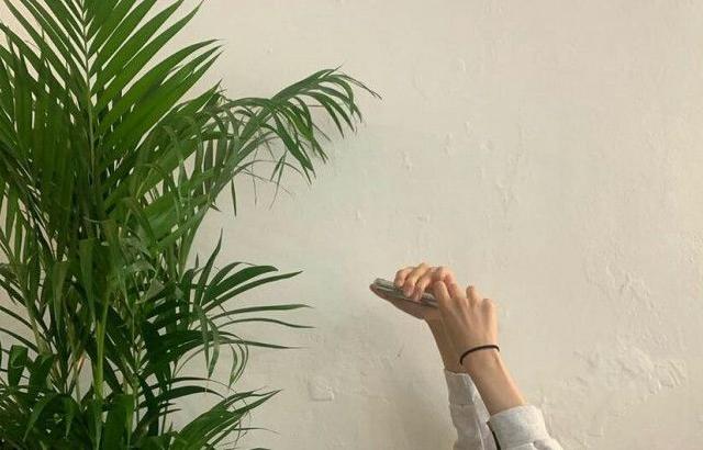 손나은