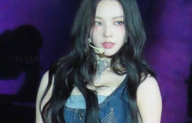 카리나