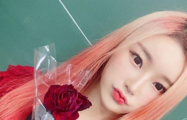 PIXY dajeong