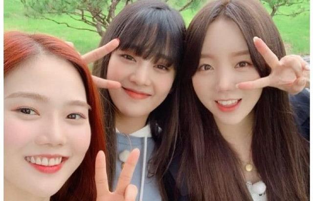 퀸덤 워크샵 인스타 케이 지수