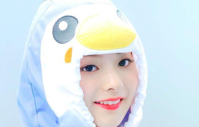 나꼬 펭귄