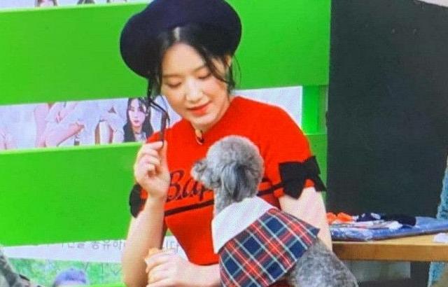 여자아이들 슈화