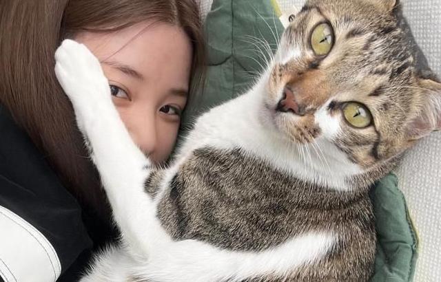 에이핑크 초롱