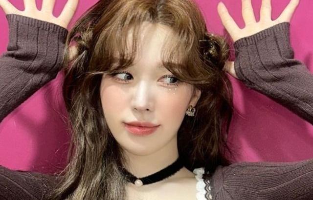 레드벨벳 웬디