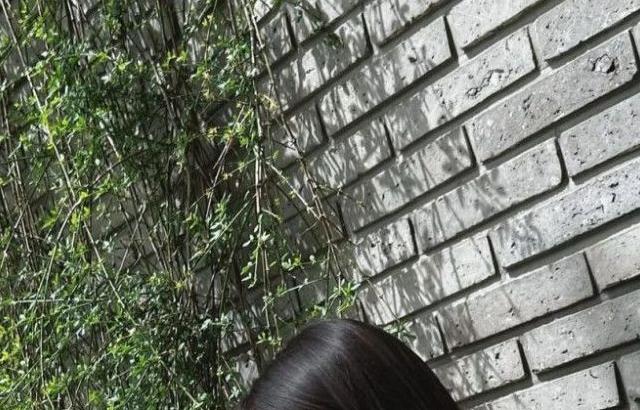 앨리스 연제