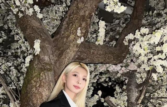 DREAMCATCHER DAMI