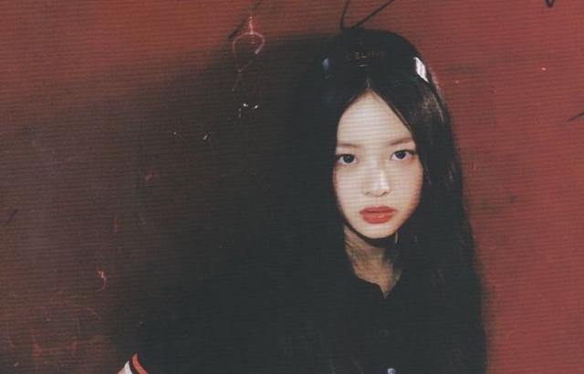 뉴진스 하니