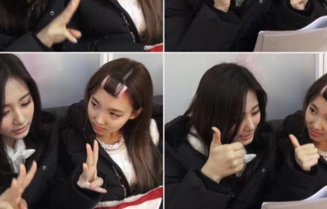 쯔위 귀엽게 보는 나연