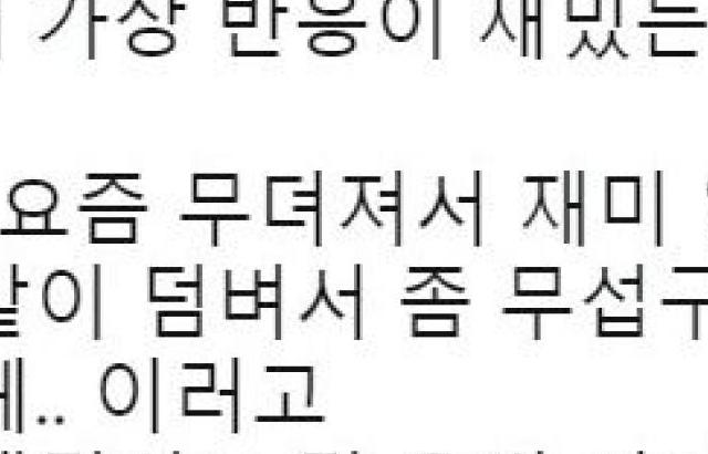 레드벨벳 서열1위 인싸 예리