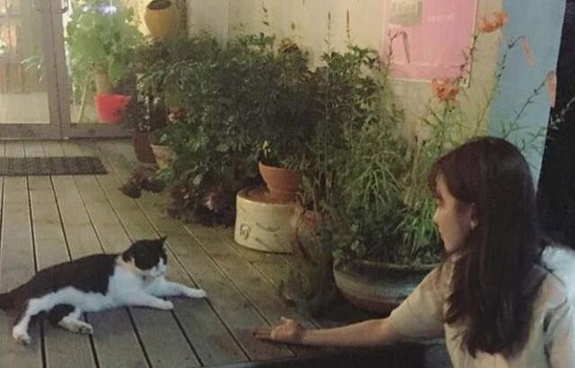 한효주