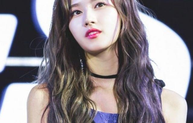 사나 괴롭히는 종이 꽃가루