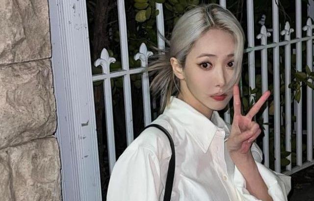 비비지 신비