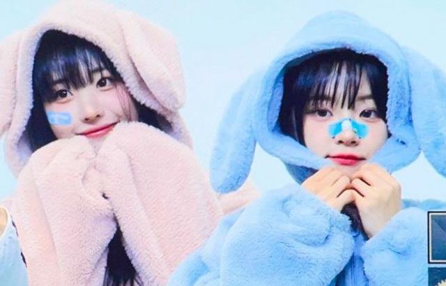 쵸단&히나