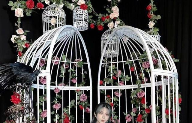 DREAMCATCHER DAMI