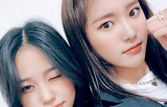 위클리 커버 모음+신곡 맛보기