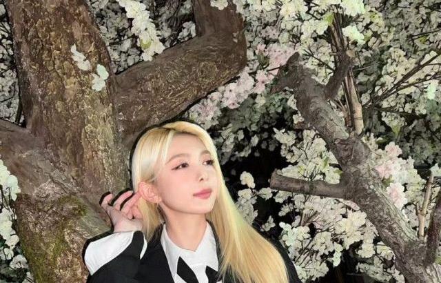 DREAMCATCHER DAMI