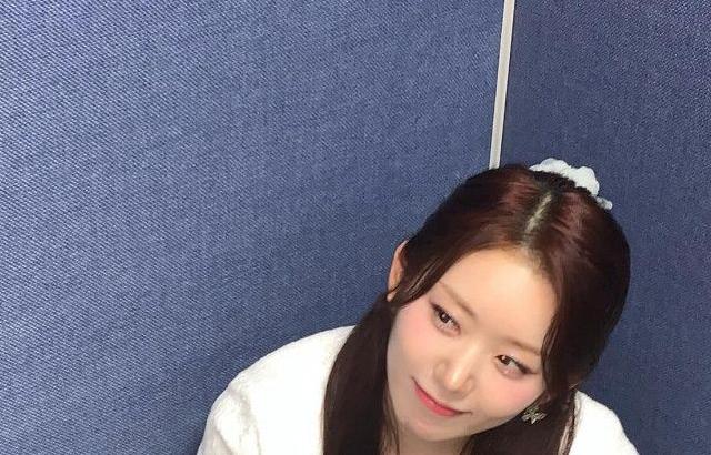 드림노트 보니