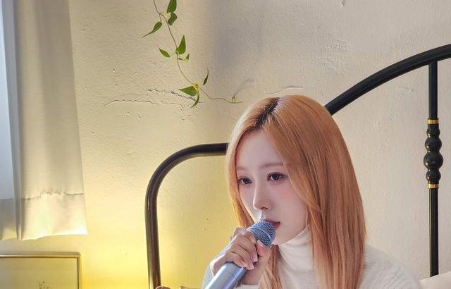 드림캐쳐 한동