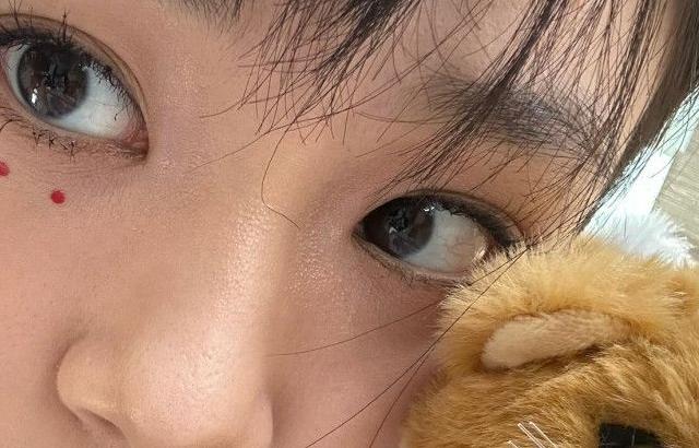 비비