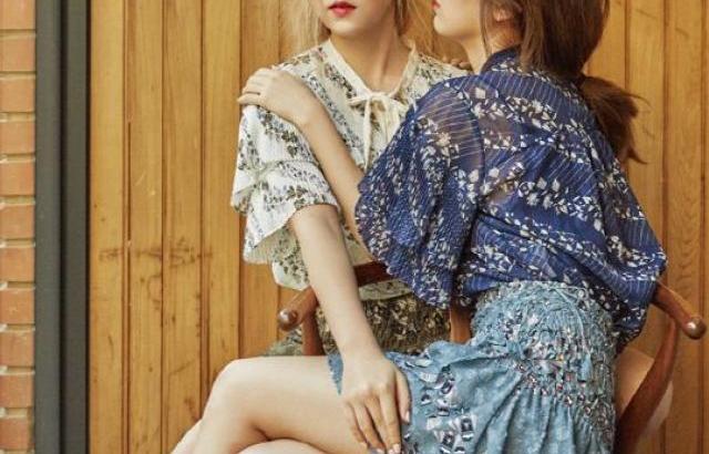 레드벨벳 조이..
