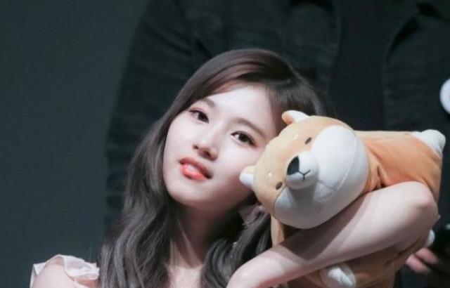 팬싸인회 사나