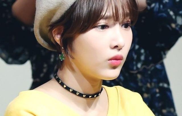 다이아 제니