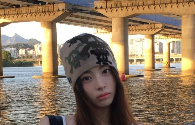 세이마이네임 슈이