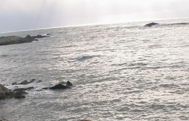 안젤리나 다닐로바