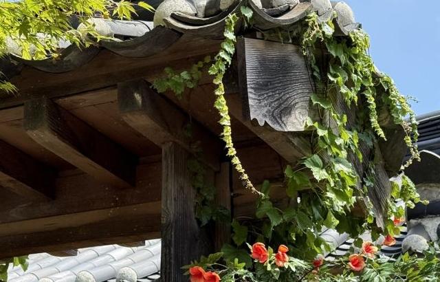 김세정 이강에는달이흐른다