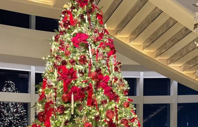 김효진 아나운서