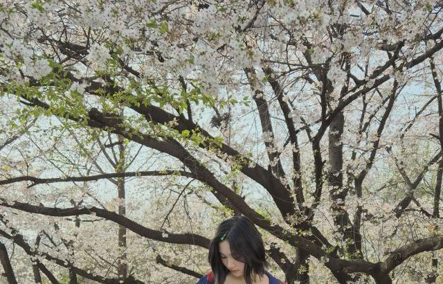 하츠투하츠 지우