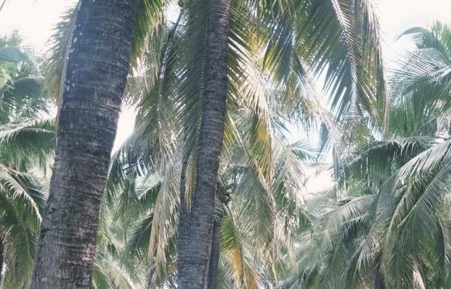 아이들 (i-dle) 슈화