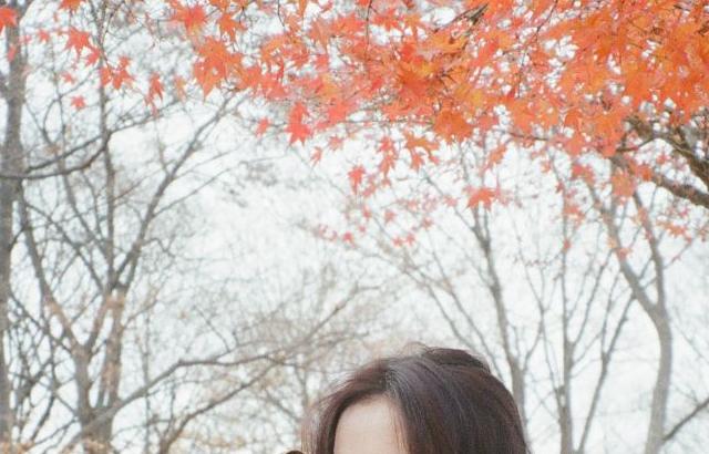 세이마이네임 슈이