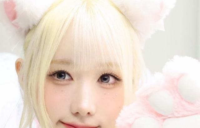 세이마이네임 메이