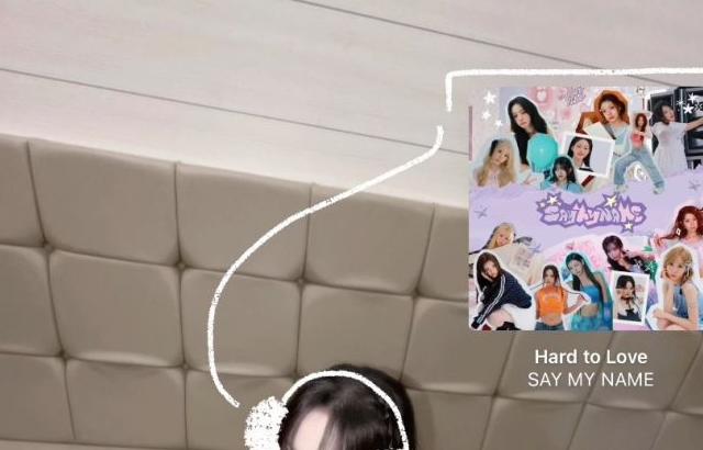 세이마이네임 슈이