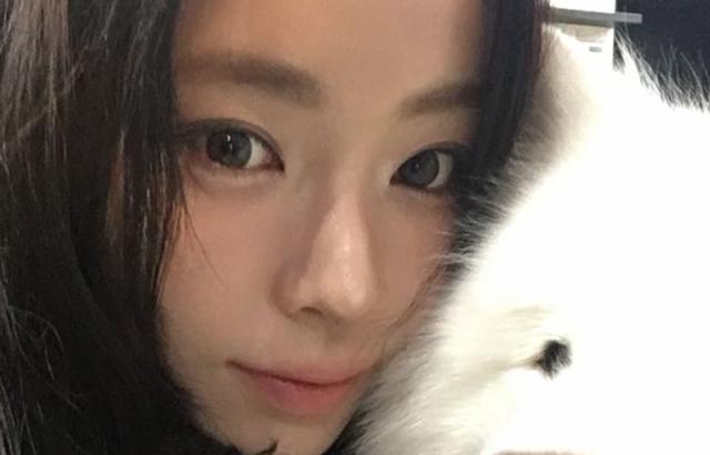 세이마이네임 슈이