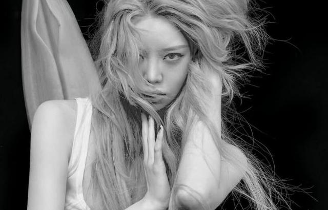 ALLDAY PROJECT (올데이 프로젝트) 베일리